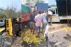 Mangaluru: Lorry rams egg transport vehicle; eggs spill across road, no injuries